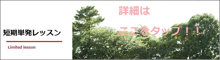 短期単発レッスンへのリンク