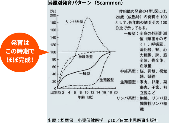 臓器別発育パターン(Scammon)
